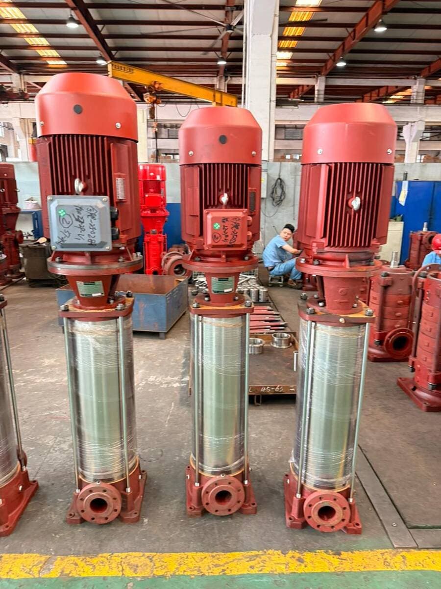 FIG. 01 · Vertical multistage pump set